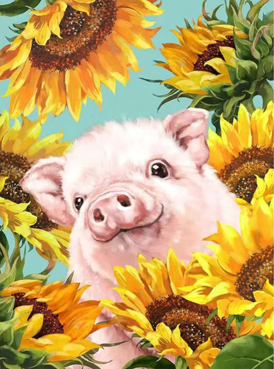 Piggy Sunflowers 20x30