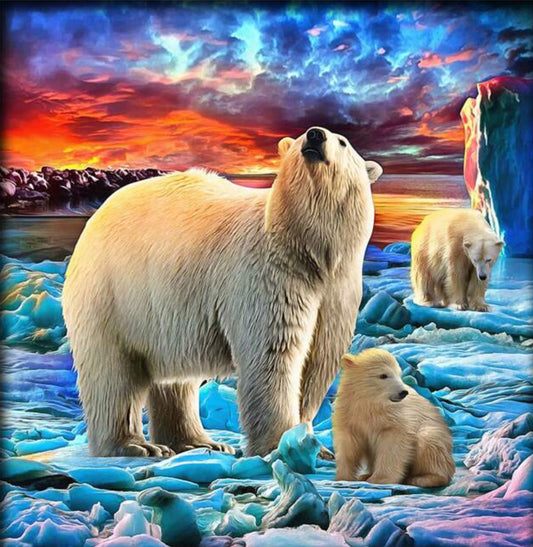 Polar Bears 30x30